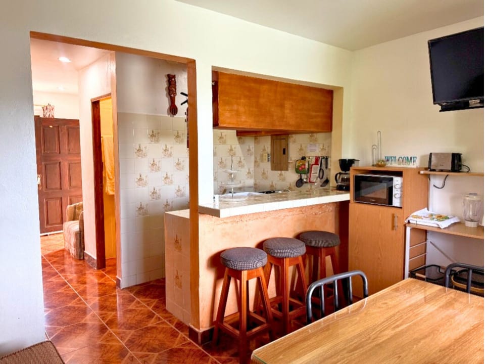 Apartment, Multiple Beds, Non Smoking, Mountain View (Tenessi) | Private kitchenette | Fridge, microwave, stovetop, coffee/tea maker