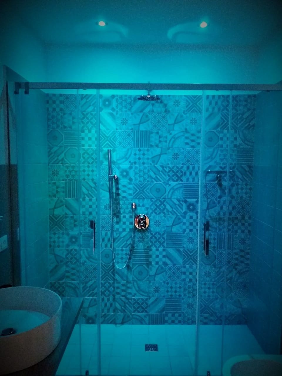 Deluxe Double Room | Bathroom shower