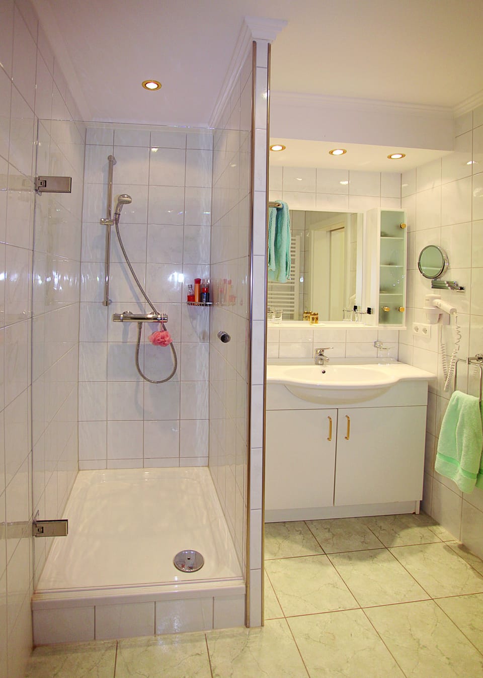 Suite | Bathroom | Shower, hair dryer
