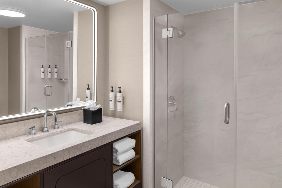 Bathroom shower