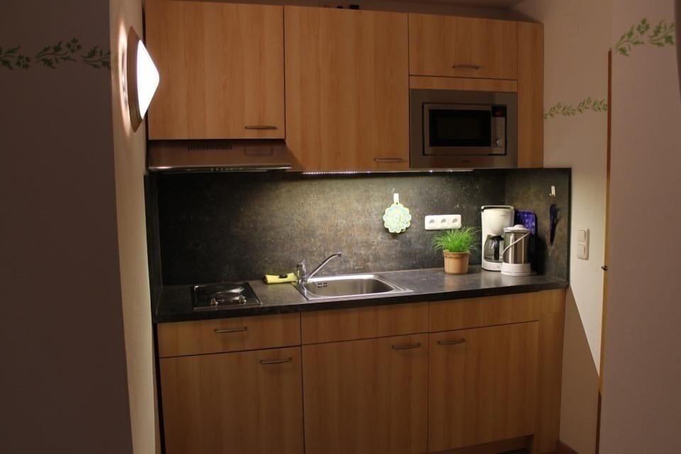 Studio | Private kitchenette | Fridge, microwave, stovetop, electric kettle