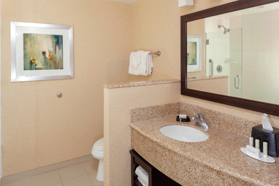 Shower, free toiletries, hair dryer, towels