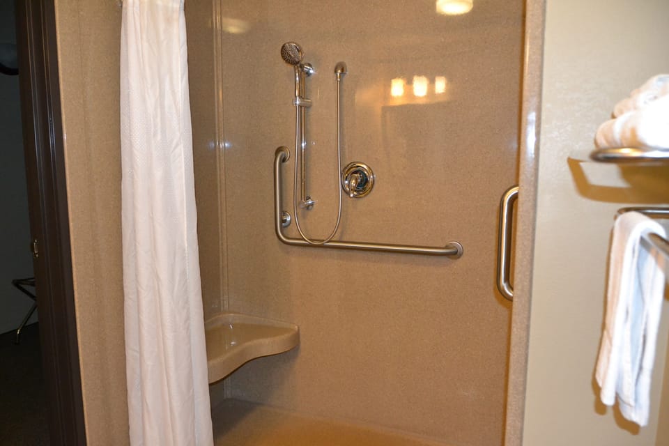 Comfort Room, 1 Queen Bed, Accessible | Bathroom shower