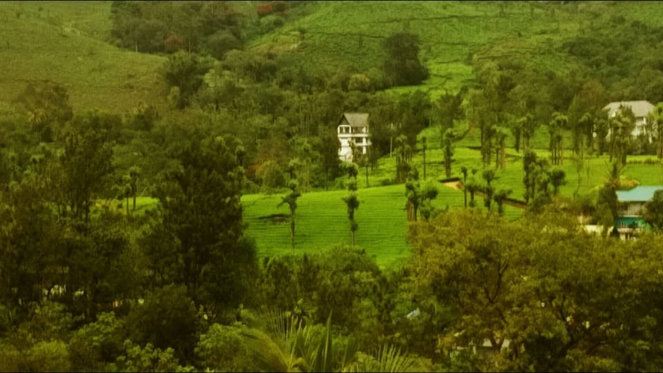 Executive Double Room, Mountain View | View from room