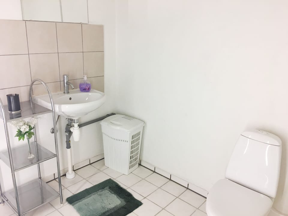 Shower, hair dryer, towels, shampoo