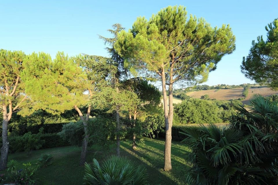 Land view from property