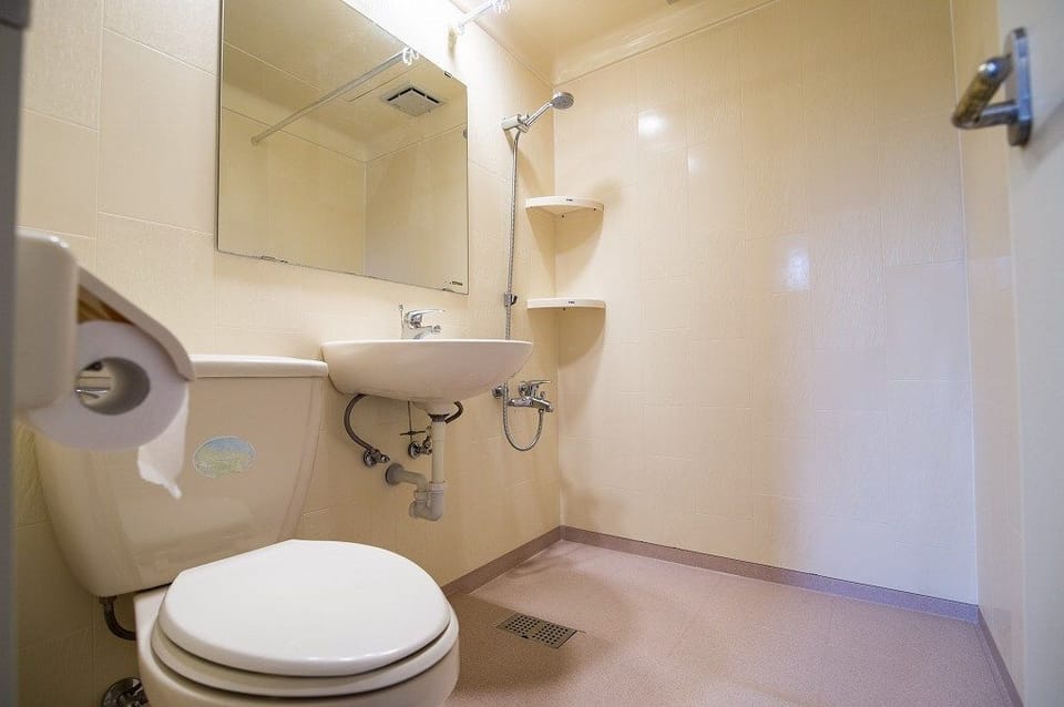 Bathroom shower