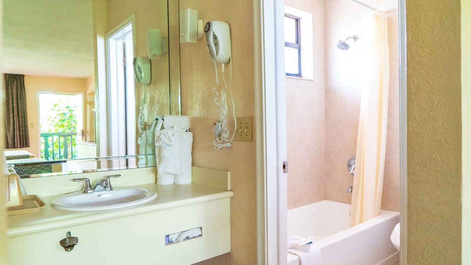 Hydromassage showerhead, free toiletries, hair dryer, towels