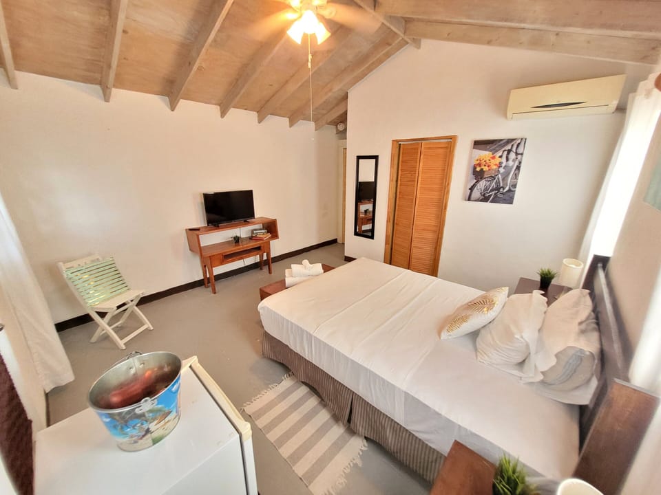 Minibar, desk, iron/ironing board, WiFi (free)