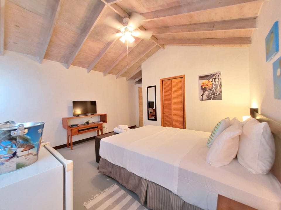 Minibar, desk, iron/ironing board, WiFi (free)