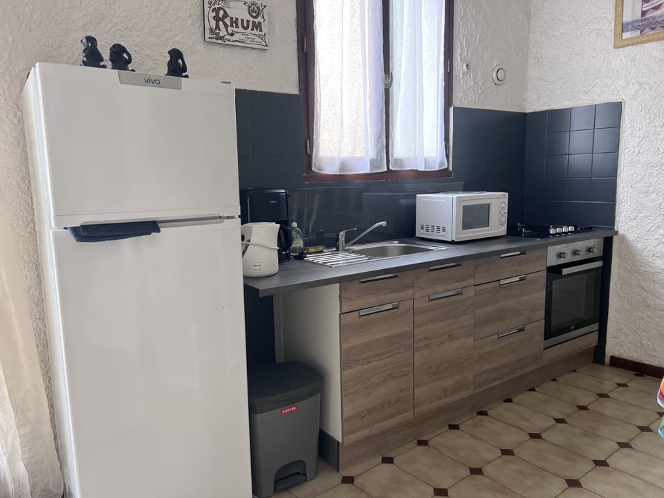 Family Apartment | Private kitchen | Full-size fridge, microwave, oven, stovetop