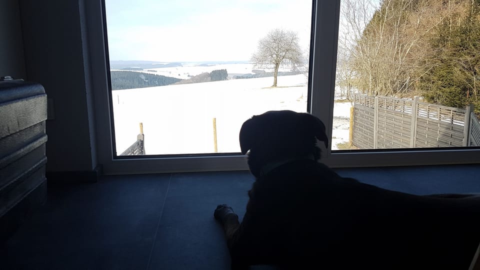 Eifel Dream Ardennenblick Apartment in Rhineland-Palatinate