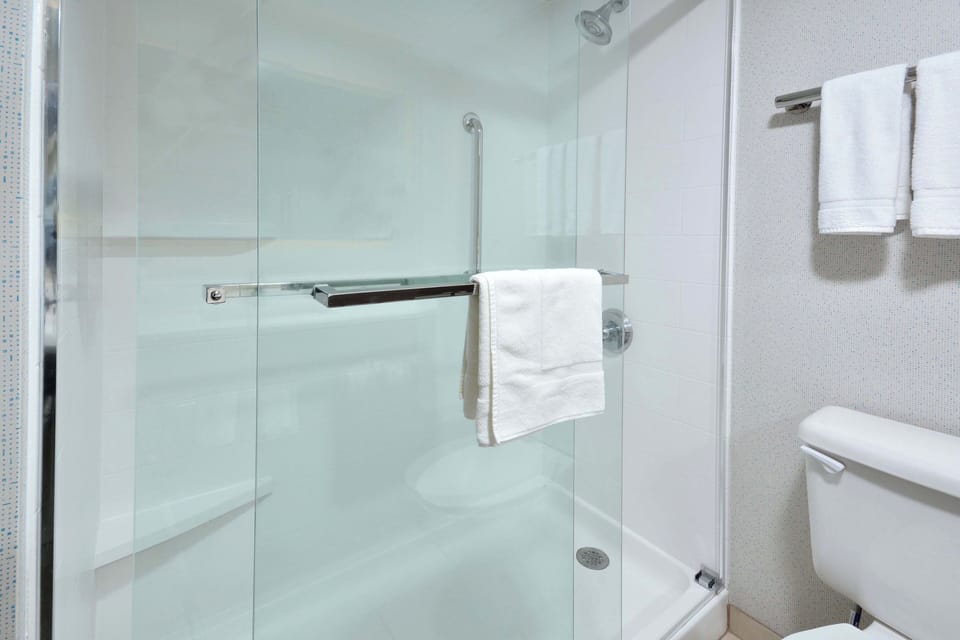 Hair dryer, towels, soap, shampoo