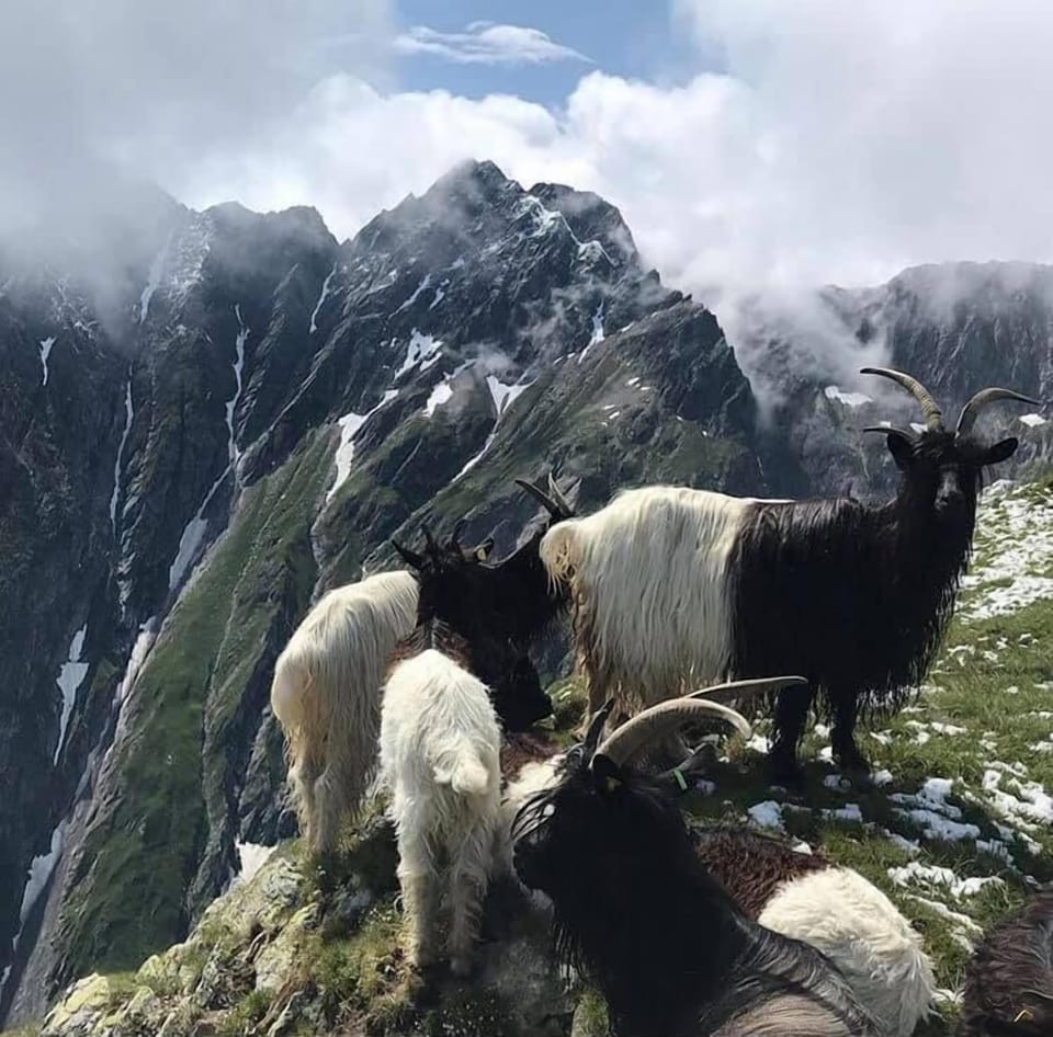 Ecotours