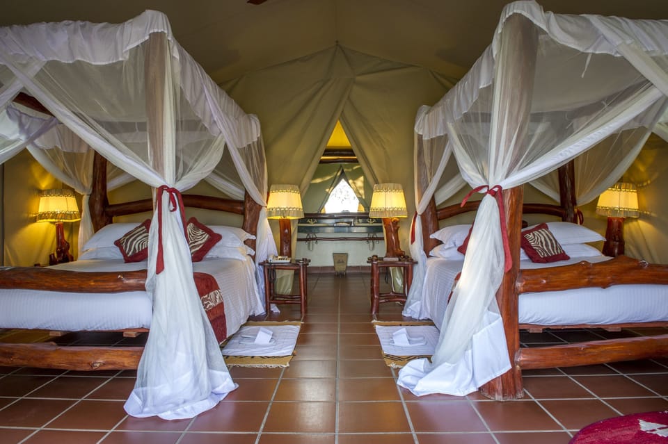 Standard Tent | View from room