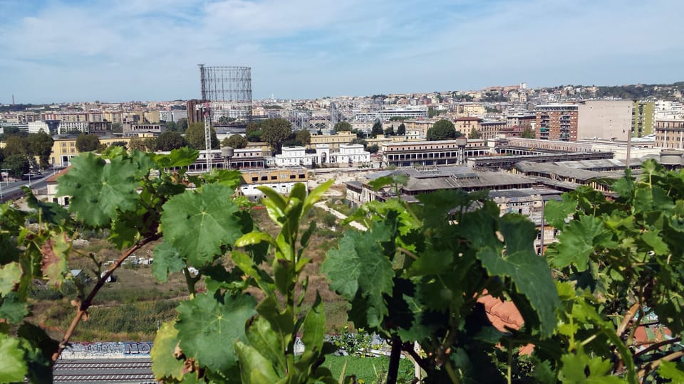 City view from property