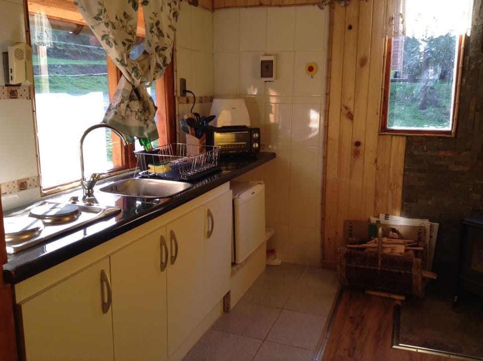 Fridge, oven, stovetop, electric kettle