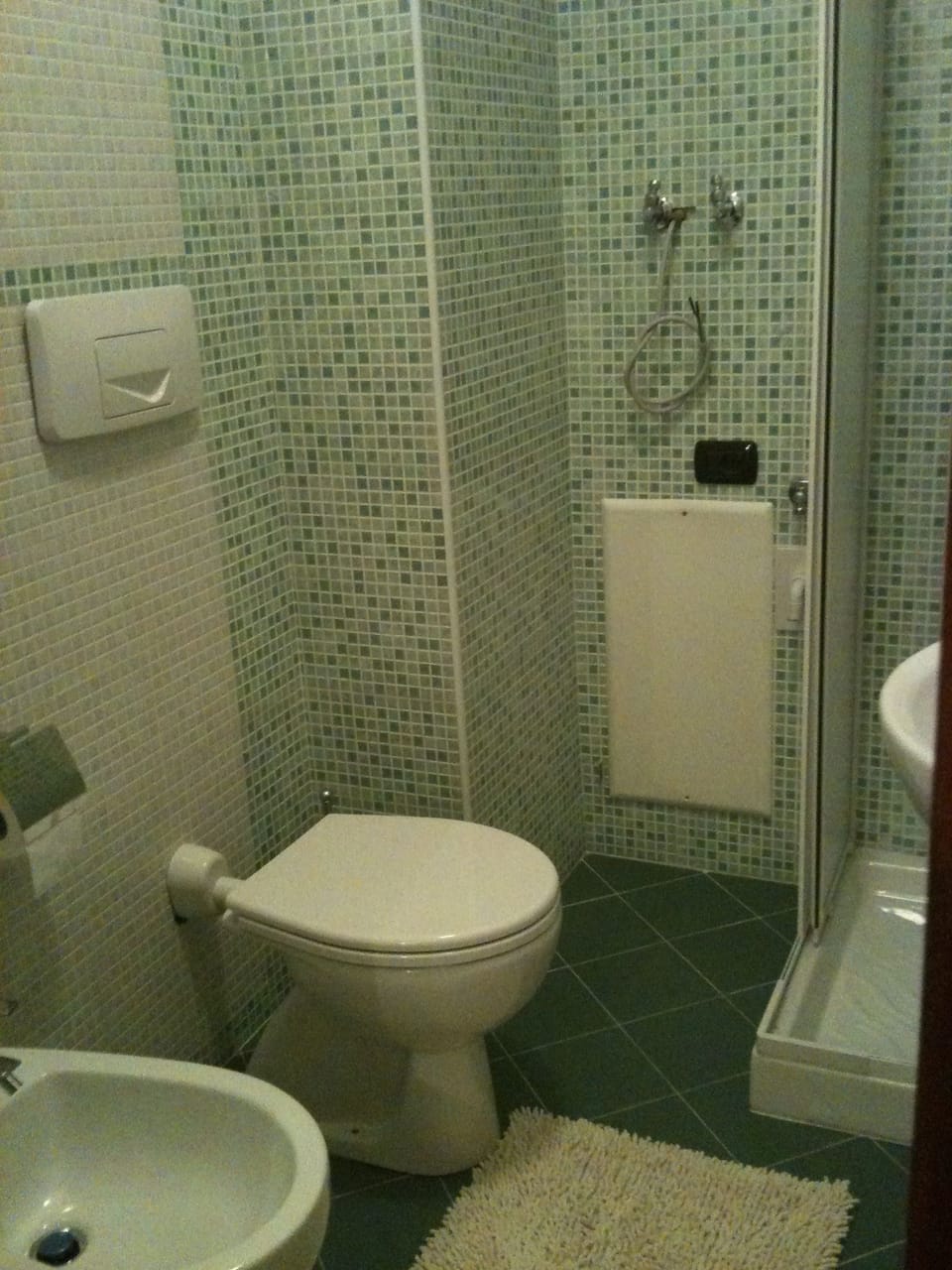 Shower, bidet