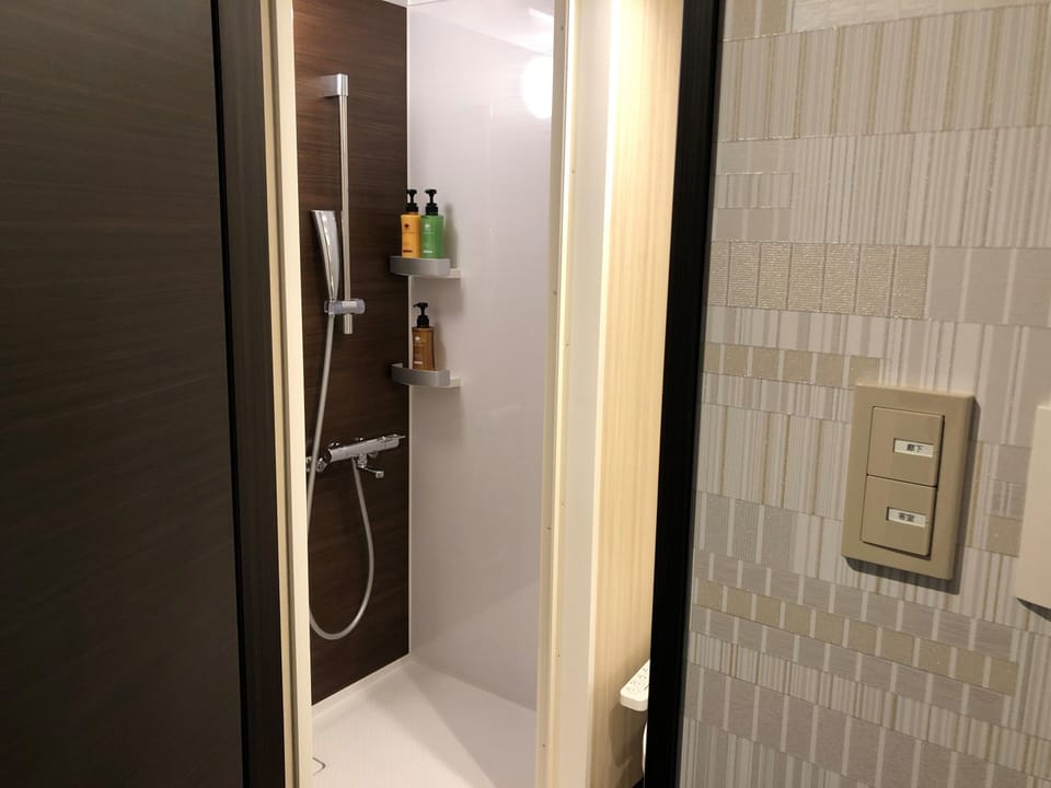 Shower, free toiletries, hair dryer, slippers
