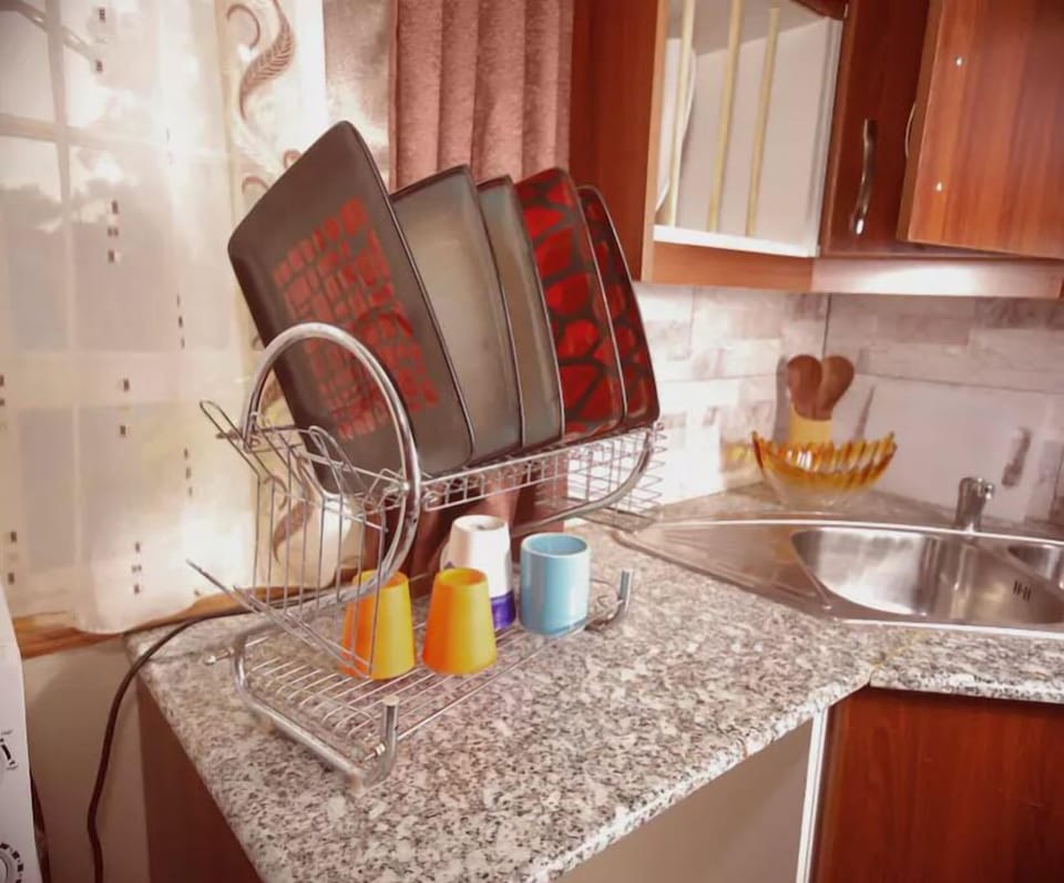 Basic Apartment, 1 Double Bed, Non Smoking | Private kitchen | Full-size fridge, microwave, oven, stovetop