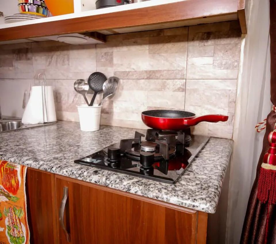 Basic Apartment, 1 Double Bed, Non Smoking | Private kitchen | Full-size fridge, microwave, oven, stovetop