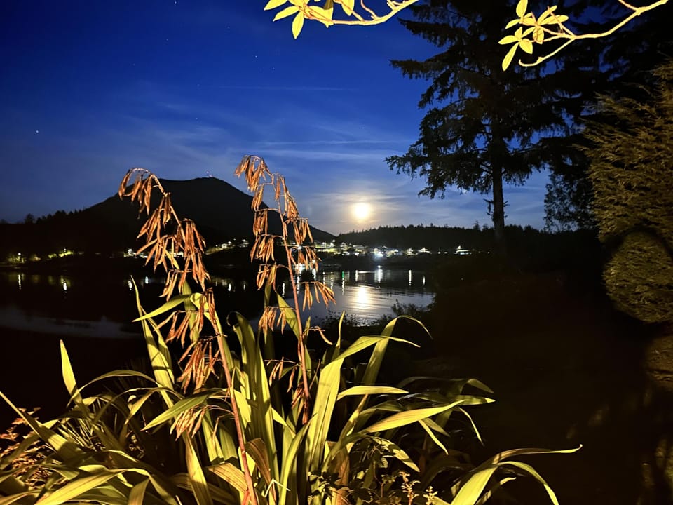 House (Hot Tub & Waterfront / Doc Holiday Ca) | Exterior