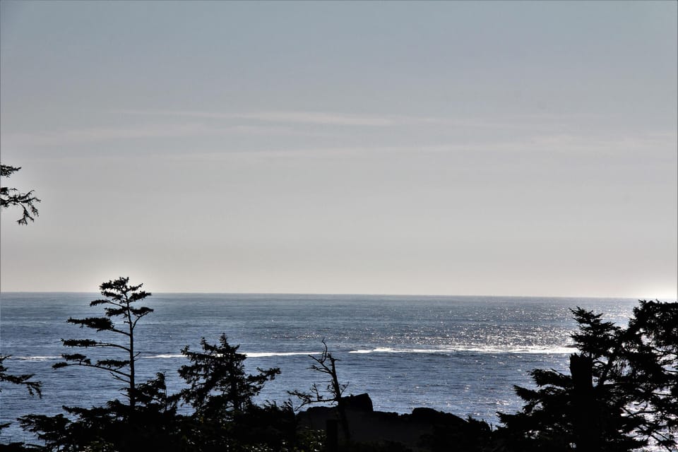 Deluxe Condo, 2 Bedrooms, Ocean View | Beach | Beach nearby