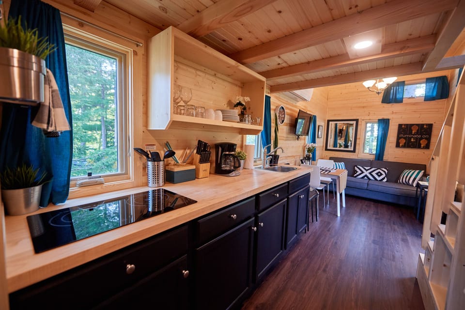 House, Multiple Beds, Kitchenette (EmersonTiny House) | Private kitchen | Fridge, microwave, stovetop, cookware/dishes/utensils