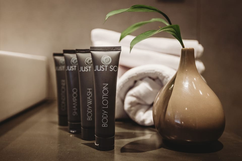 Shower, free toiletries, hair dryer, towels