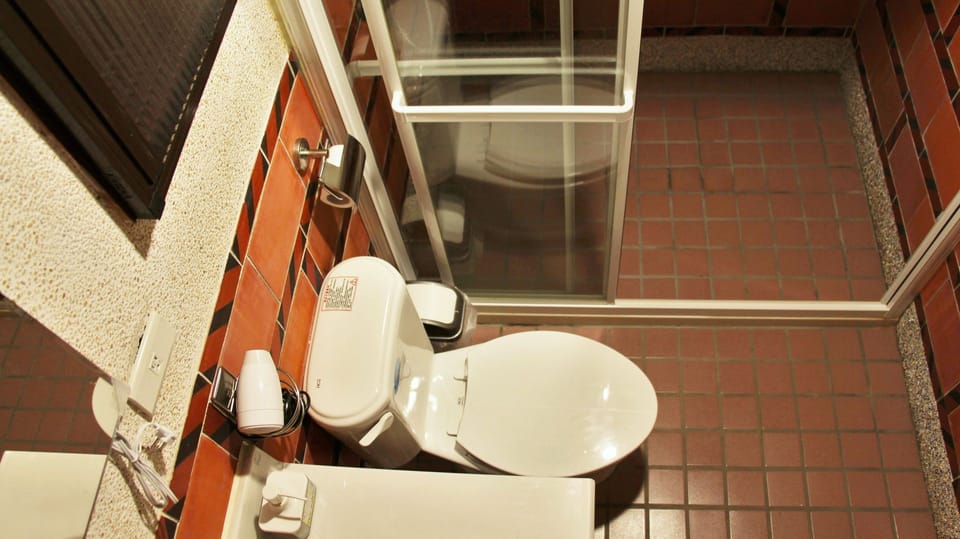 Shower, free toiletries, hair dryer, slippers