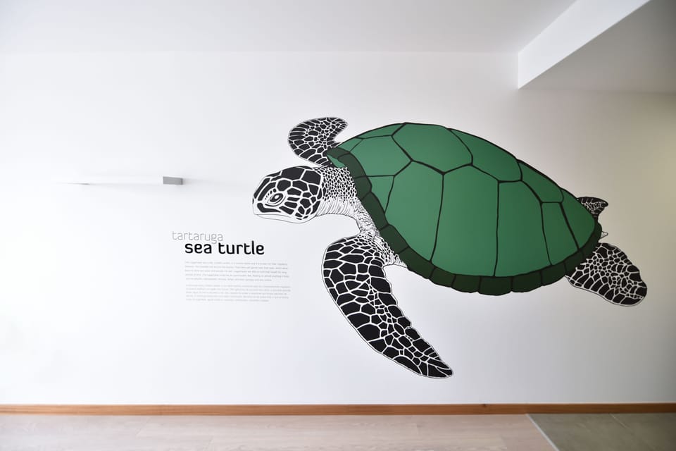 Double Room, 1 Double Bed, Private Bathroom, Sea View (Sea Turtle) | View from room