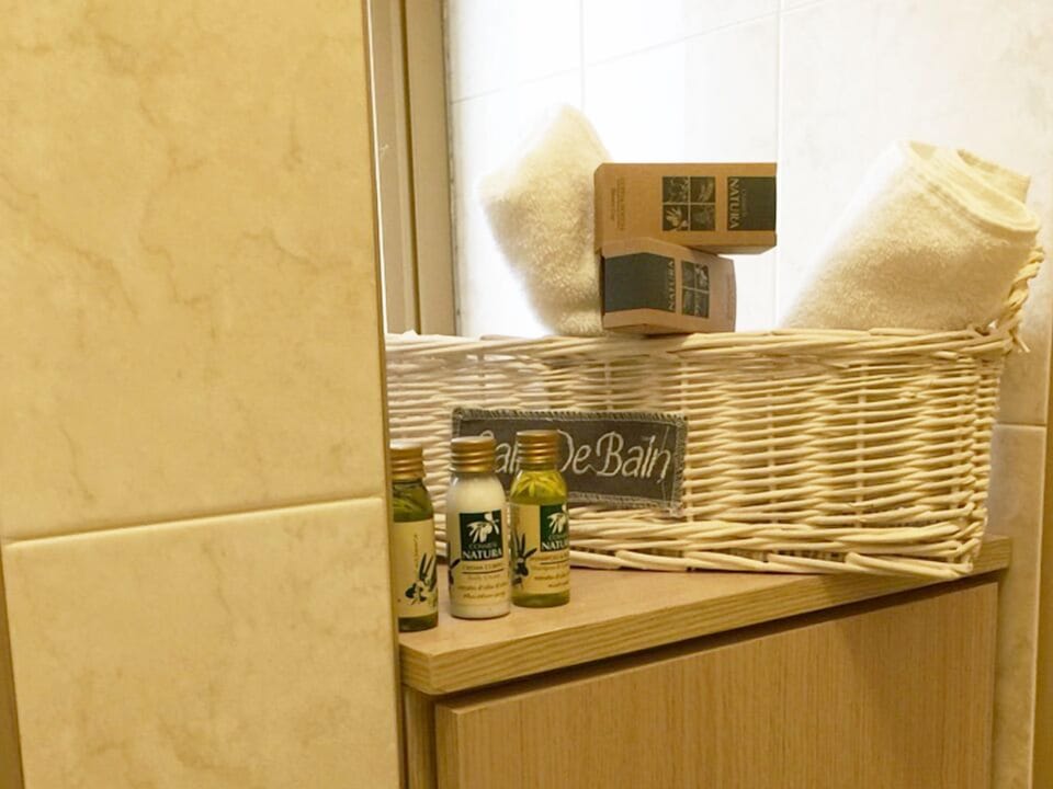 Deluxe Double or Twin Room, Partial Sea View | Bathroom amenities | Shower, free toiletries, hair dryer, slippers