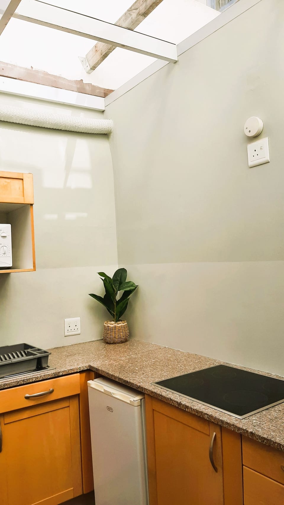 Standard Triple Room | Private kitchen | Fridge, microwave, coffee/tea maker, electric kettle