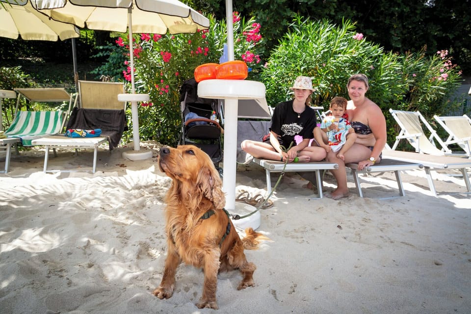 Pet-friendly