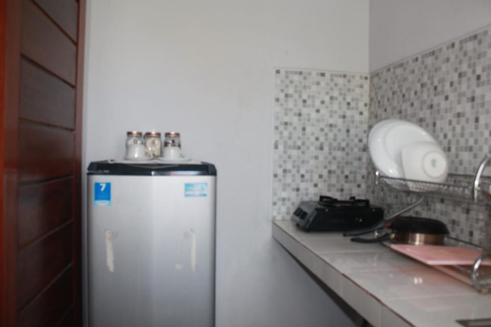 Fridge, stovetop, cookware/dishes/utensils, freezer