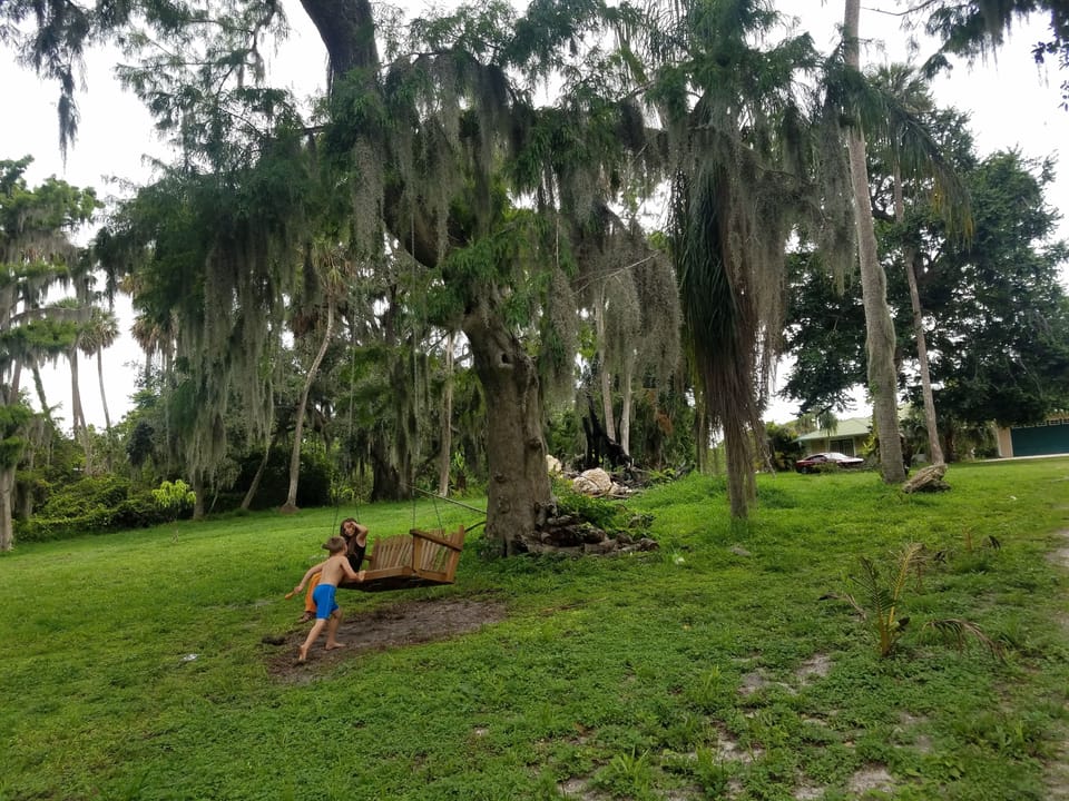 Garden