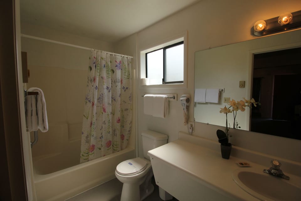 Combined shower/tub, free toiletries, hair dryer, towels