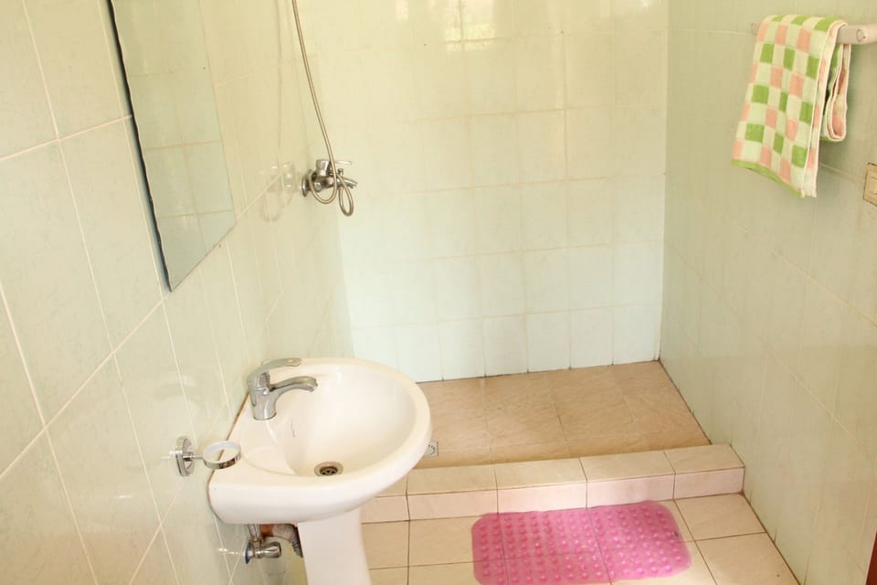 Standard Double Room, 1 Double Bed | Bathroom | Shower, free toiletries, hair dryer (on request), slippers
