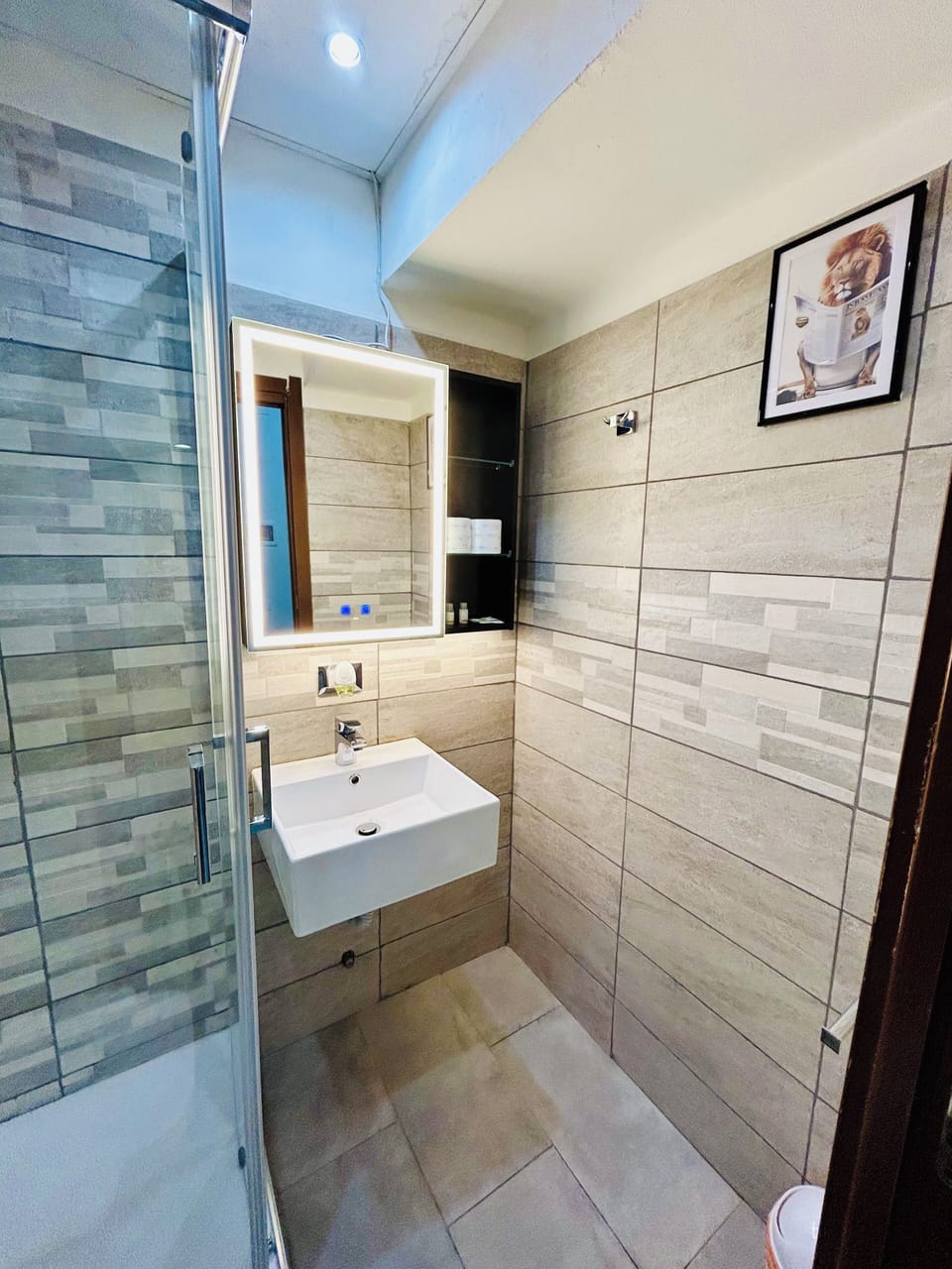 Double or Twin Room (Claudia) | Bathroom | Shower, free toiletries, hair dryer, bathrobes