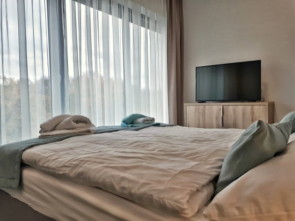 Deluxe Apartment | 2 bedrooms, desk, laptop workspace, iron/ironing board (on request)