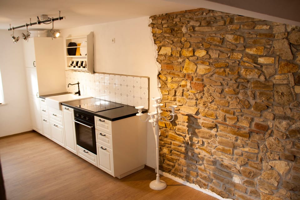 Apartment, 5 Bedrooms, River View | Private kitchen | Full-size fridge, microwave, oven, stovetop