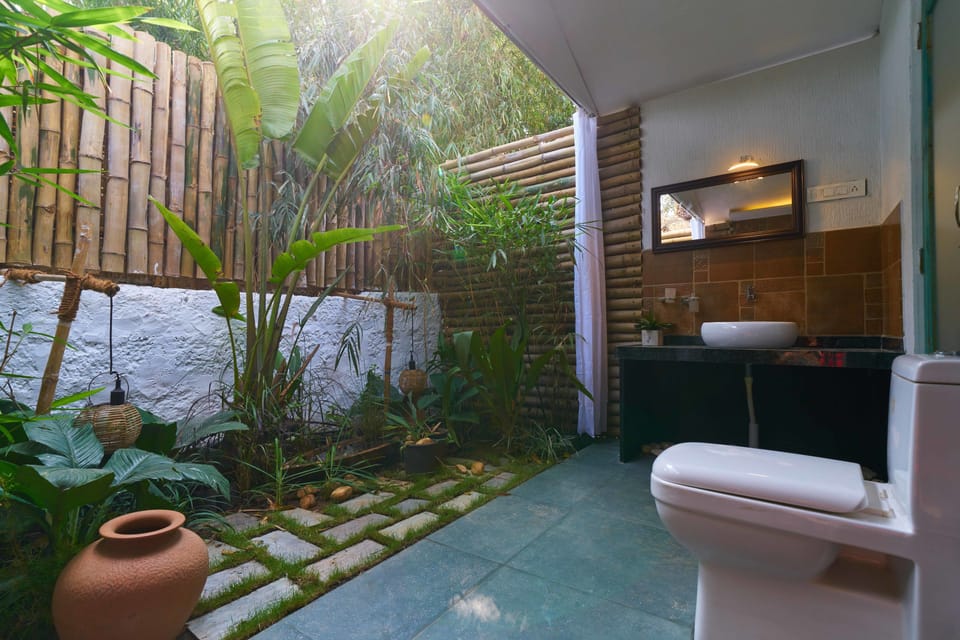 Shower, free toiletries, towels