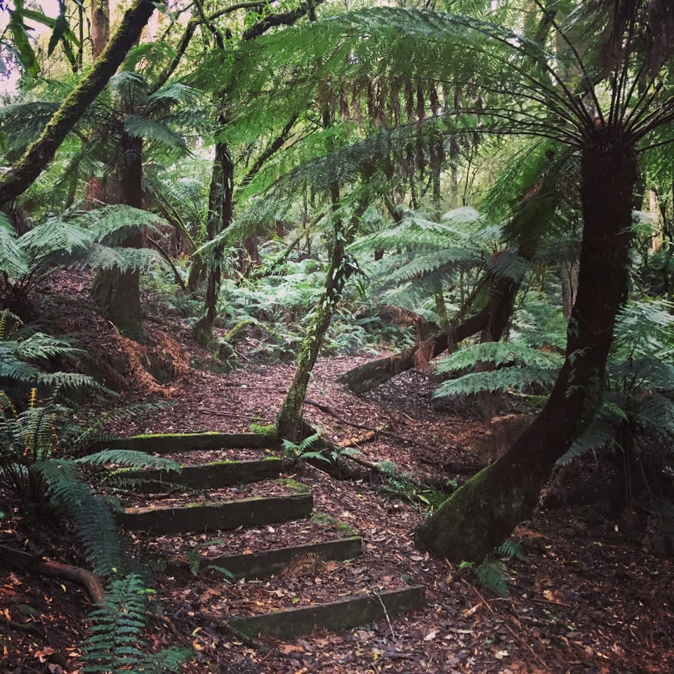 Hiking
