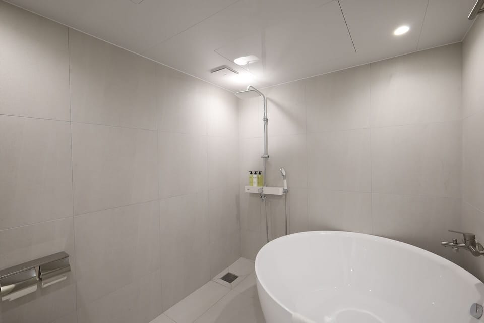 Premium Double Room | Bathroom | Separate tub and shower, deep soaking tub, free toiletries, hair dryer