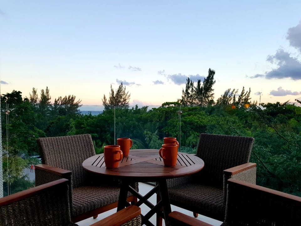 View from property