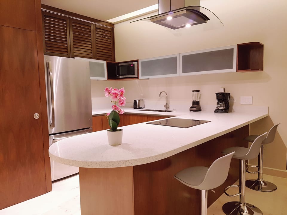 Apartment | Private kitchen | Fridge, microwave, oven, stovetop