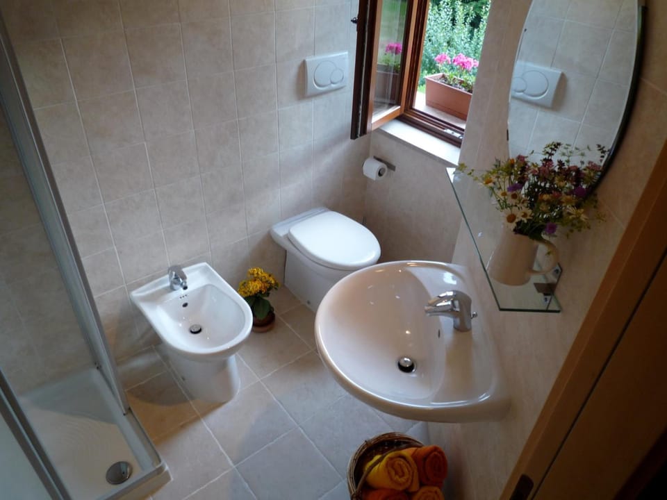 Shower, rainfall showerhead, bidet, towels