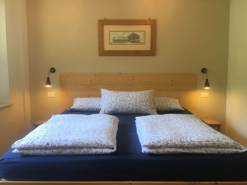 Double or Twin Room, 1 Queen Bed, Garden View | Free WiFi, bed sheets