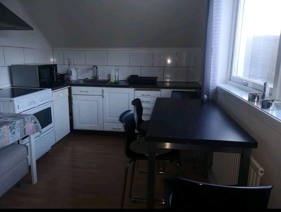 Double Room, 1 King Bed | Private kitchen | Fridge, microwave, oven, stovetop