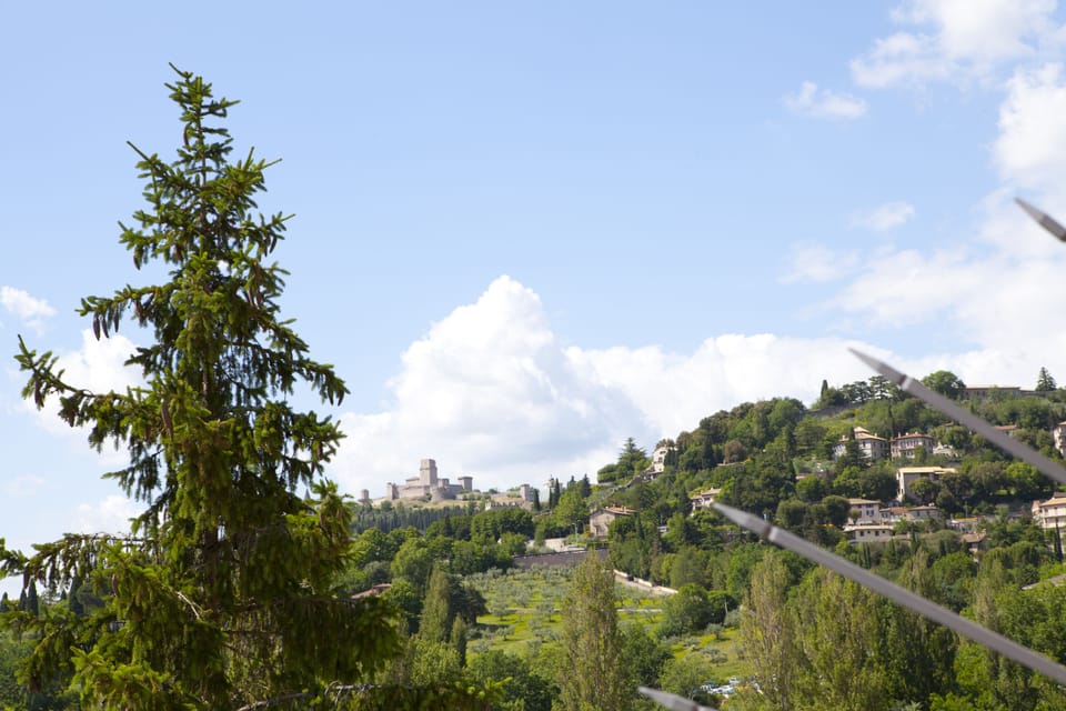City view from property